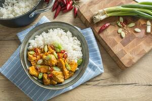 Hähnchen Curry Reis Chili und jung Zwiebel im Schüssel foto