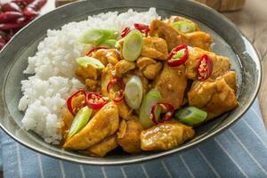 Hähnchen Curry Reis Chili und jung Zwiebel im Schüssel foto