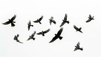 Gruppe von Weiß Vögel auf ein Hintergrund. Silhouette Konzept foto