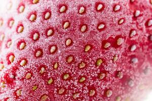 Erdbeere. gefroren Erdbeere bedeckt durch Frost - - Nahansicht foto