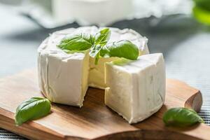 Camembert oder Brie Käse mit Basilikum Blätter auf Tabelle foto