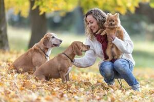 ein jung heiter Frau ist bekommen zu kennt zwei Neu Hunde mit ihr Haustier foto