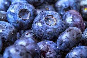 frisch und lecker Blaubeeren Nahansicht mit wenig Tropfen von Wasser foto