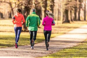 Rückseite Aussicht von ein Trio von Läufer, zwei jung Frauen und einer reifen Mann Laufen im ein Herbst Park foto