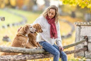 ein gut suchen jung Frau ist Sitzung im das Park mit ihr Hunde foto