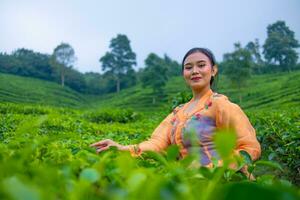 ein asiatisch Frau im ein Orange Kleid und Blau Rock Stehen unter das Grün Tee Blätter foto