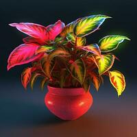 hell Farbe Zier Pflanzen im das Topf foto