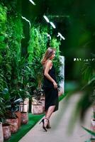 jung Frau Gehen unter Grün Pflanzen Innerhalb Orangerie. schön Mädchen Modell- tragen schwarz Kleid auf Gurte und Fersen. Frau mit lange blond Haar. tropisch Pflanzen Gewächshaus . foto