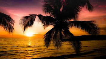 schöner sonnenuntergang auf dem tropischen seestrand. silhouette von palmen auf rosa himmelhintergrund für reise und urlaub als sommer foto