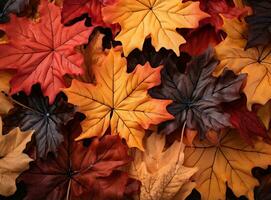 Herbst fallende Blätter Hintergrund foto