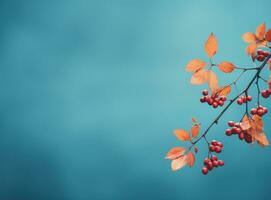 Herbstlaub auf blauem Himmelshintergrund foto