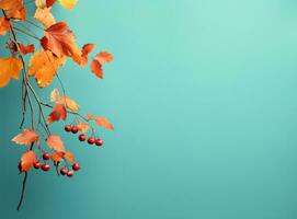 Herbstlaub auf blauem Himmelshintergrund foto