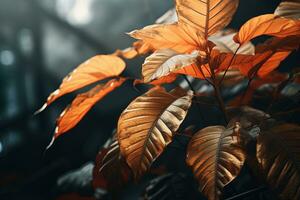 schließen oben von schön Herbst Blätter mit Wasser Tropfen. natürlich Hintergrund ai generiert foto