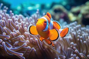 groß Clownfisch Tiefe von Feld, unter Wasser Fotografie ai generativ foto