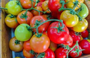 Tomaten Lügen auf ein Stapel Verkauf im Markt, Tomate Textur. foto