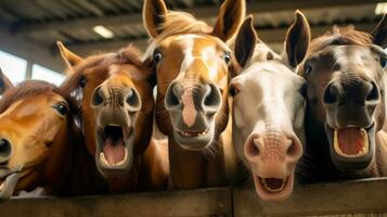 glücklich Pferde Lächeln im Stall generativ ai foto