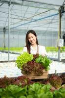 asiatisch weiblich Farmer Arbeiten früh auf Bauernhof halten Holz Korb von frisch Gemüse und Tablette im das Gewächshaus foto