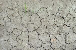trocken geknackt Boden Textur und fehlt Wasser von Boden. global Erwärmen Wirkung. foto