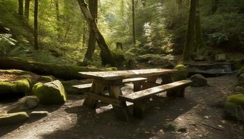 still Szene Grün Wald, Herbst Blätter, Bank, friedlich Fußweg generiert durch ai foto