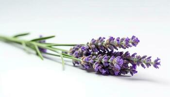 lila Blume, Natur Anlage, Kraut Strauß, duftend lila Parfüm generiert durch ai foto