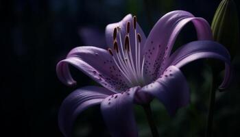 Frische von Natur Schönheit im ein Single Blume elegant blühen generiert durch ai foto