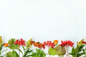 Herbst Blumen- Komposition. Rahmen gemacht von Herbst Pflanzen Viburnum Beeren Orange Blumen isoliert auf Weiß Hintergrund. Herbst fallen natürlich Pflanzen Ökologie Hintergrund Konzept. eben legen oben Sicht, Kopieren Raum foto