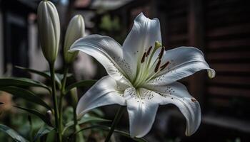 ein schön Strauß von bunt Blumen im ein formal Garten generiert durch ai foto