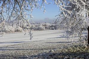schöne märchenhafte verschneite Winterlandschaft in Zentralböhmen, Tschechien foto