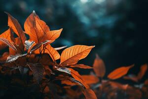 schließen oben von schön Herbst Blätter mit Wasser Tropfen. natürlich Hintergrund ai generiert foto