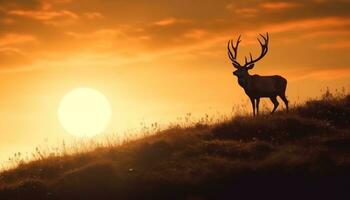 majestätisch Hirsch weidet im still Wiese, silhouettiert gegen Sonnenuntergang Himmel generiert durch ai foto