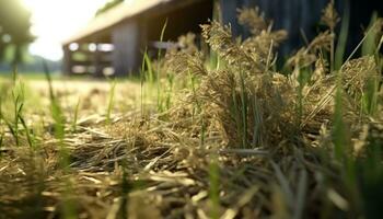 Grün Gras wächst im das Wiese, reif zum Ernte generiert durch ai foto