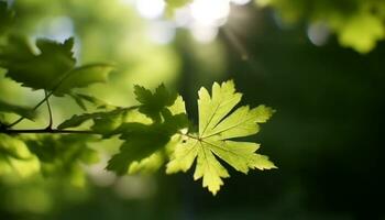 beschwingt Grün Blätter auf ein Baum Zweig, Natur bunt Meisterstück generiert durch ai foto
