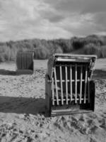 Sommer- Zeit auf gerecht Insel foto