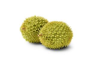 das Obst Durian, köstlich Frucht, 3d Wiedergabe. foto