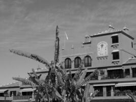 Teneriffa Insel im Spanien foto