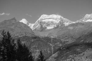 die alpen in der schweiz foto