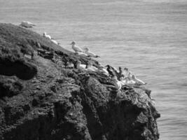 insel helgoland in deutschland foto