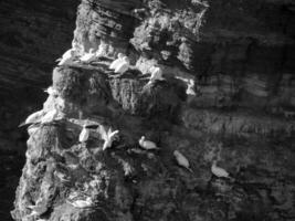 insel helgoland in deutschland foto