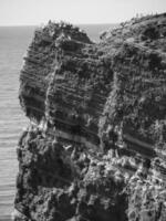 insel helgoland in deutschland foto