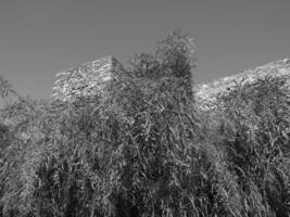 das Stadt von Malaga foto