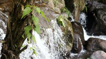 Nahansicht Aussicht von klar Wasser Kaskadierung Nieder Fluss Felsen foto