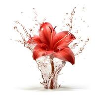 schön Rosa Orchidee mit planschen Wasser. ai generisch foto