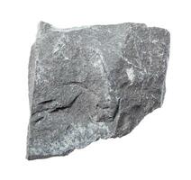 unpoliert grau Argillit Felsen isoliert auf Weiß foto