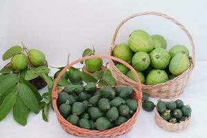 Guave Obst im Korb auf Weiß Hintergrund foto