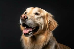 Porträt von ein golden Retriever Hund auf ein schwarz Hintergrund generativ ai foto