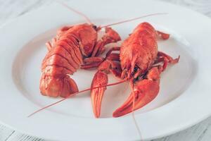 Gericht von gekocht Flusskrebs mit Soße foto