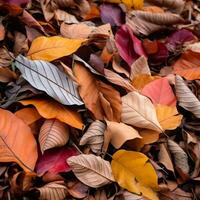 bunt Herbst Blätter auf das Boden generativ ai foto