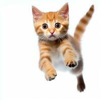 ein Orange Tabby Kätzchen ist fliegend im das Luft generativ ai foto