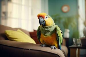 süß Ara Papagei Vogel im Leben Zimmer. Ara Papagei Vogel mit komisch aussehen foto