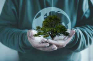Hände halten Baum und virtuell glob wie Energie Effizienz Konzept. verlängerbar Energie durch 2050 Kohlenstoff neutral Energie. Netz Null Kohlenstoff, Erde Tag foto